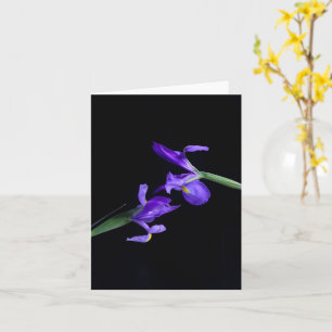 Dual-Iris-Grußkarte Karte