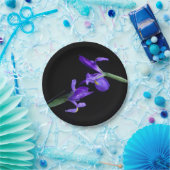 Dual-Iris-Round-Paper-Teller Pappteller (Party)