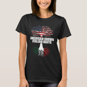 Duale Staatsbürgerschaft Amerika Flagge Roots Ital T-Shirt