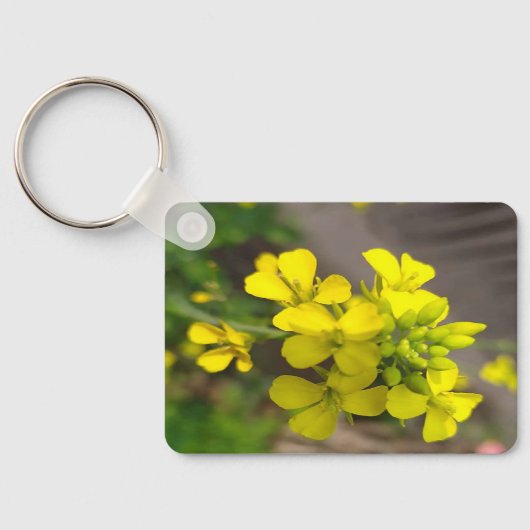 Dualsieb Schlüsselanhänger (Rückseite)