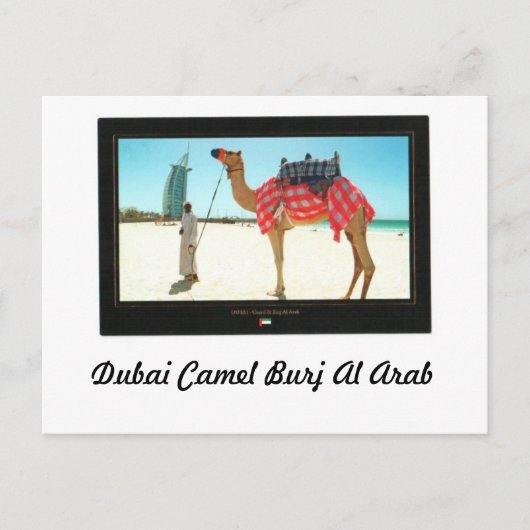 Dubai Camel Burj Al Arab Postkarte (Vorderseite)