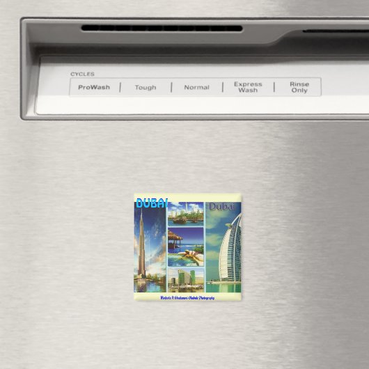 DUBAI Magnet (In Situ (Geschirrspüler))