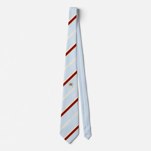 Dubai Streifen-Flagge Krawatte (Vorderseite)