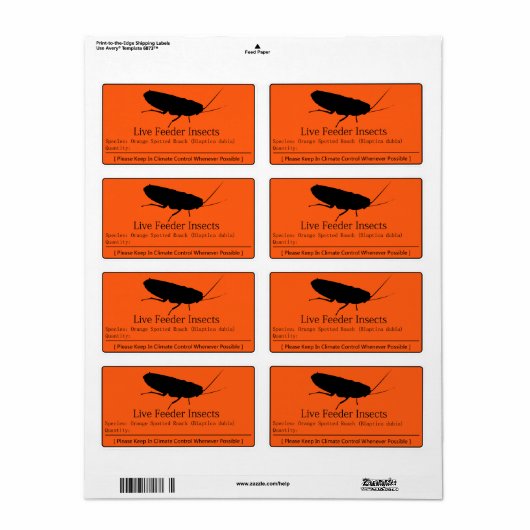 Dubia Roach Label (Vorne)