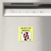 Dublettenspieler Magnet (In Situ (Geschirrspüler))