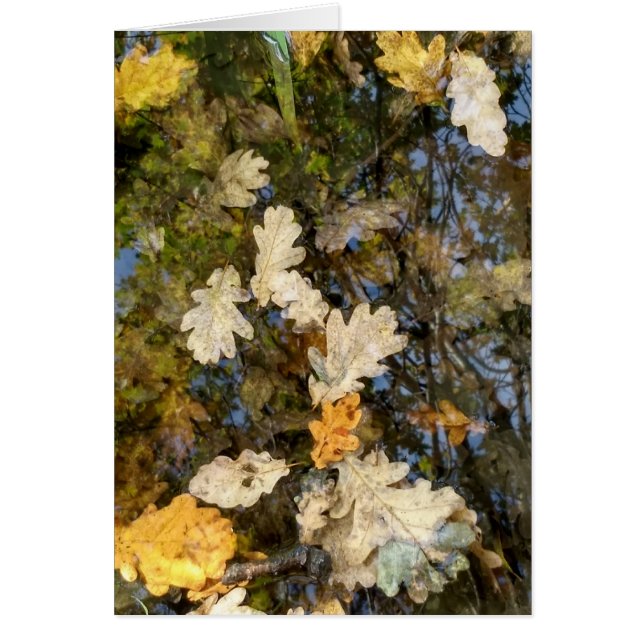 Dublin-Blätter (Vorne)