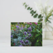 Dublin Blooms Postkarte (Stehend Vorderseite)