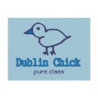 Dublin Chick