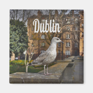 Dublin Ireland Bird on Bridge Magnet