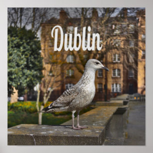 Dublin Ireland Bird on Bridge Poster