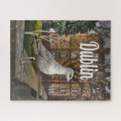 Dublin Ireland Bird on Bridge Puzzle (Horizontal)