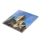 Dublin Ireland Christ Church Cathedral Sehenswürdi Fliese (Seite)