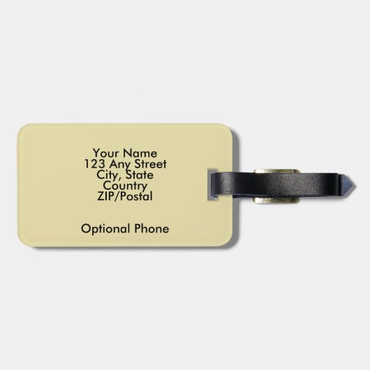 Dublin Ireland Guide Book Gepäckanhänger (Rückseite horizontal)