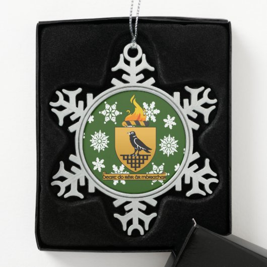 Dublin Ireland Wappen Irish Schneeflocken Zinn-Ornament (Box)