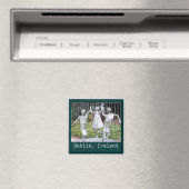 Dublin, Irland Magnet (In Situ (Geschirrspüler))