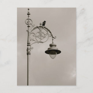 Dublin Lamp Postkarte