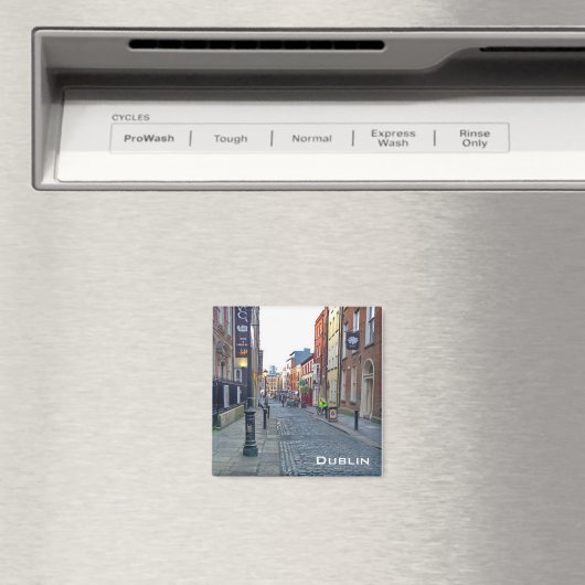 Dublin Magnet (In Situ (Geschirrspüler))