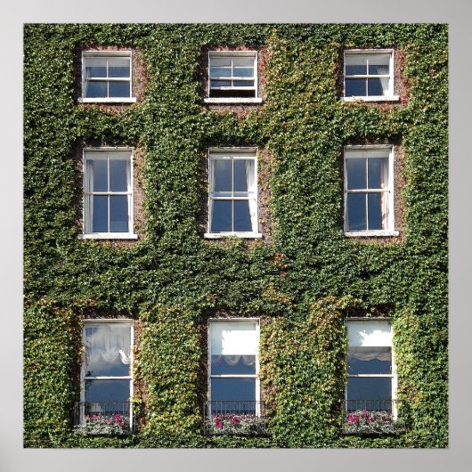 Dublin Town House Fenster und Climbing IV Poster (Vorne)