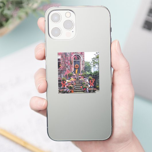 Dubliner Türherbst Aufkleber (Telefon)