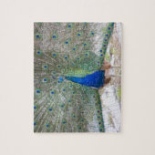 Dubrovnik, Kroatien, Lokrum Island, farbenfroh Puzzle (Vertikal)