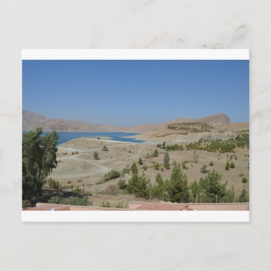 Ducan3 Postkarte (Vorderseite)