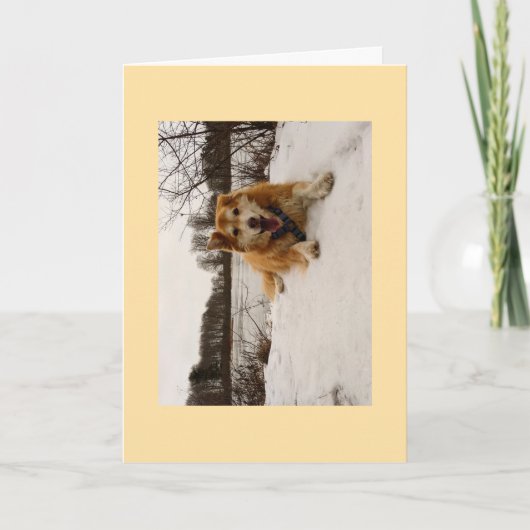 Ducati, der Wunderhund Feiertagskarte (Vorderseite)