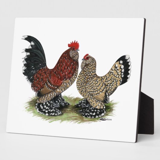 D'Uccle Bantams:  Mille Fleur Fotoplatte (Seite)