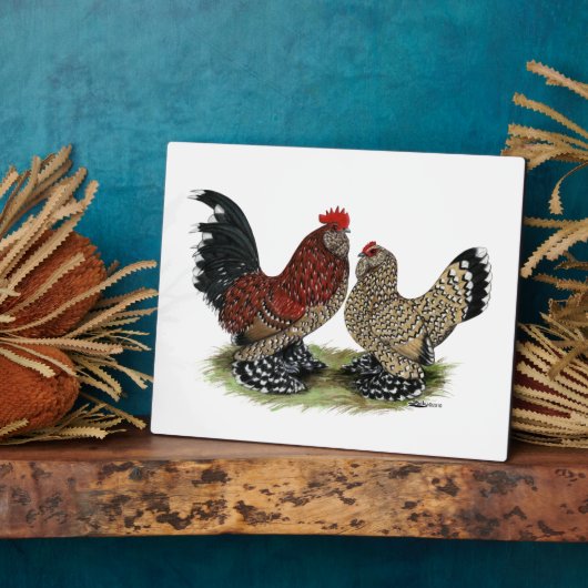 D'Uccle Bantams: Mille Fleur Fotoplatte (Seite)