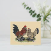 D'Uccle Bantams: Mille Fleur Postkarte (Stehend Vorderseite)