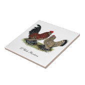 D'Uccle Zwerghühner: Mille Fleur Fliese (Seite)