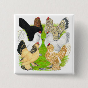 D'Uccles 6 Hens Button