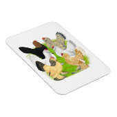 D'Uccles 6 Hens Magnet (Rechte Seite)