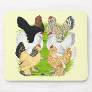 D'Uccles 6 Hens Mousepad