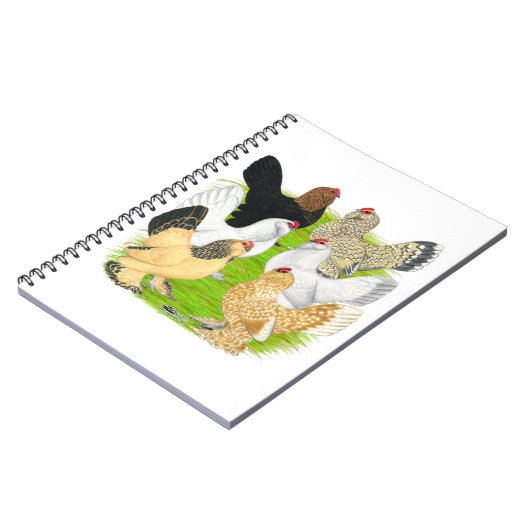 D'Uccles 6 Hens Notizblock (Linke Seite)