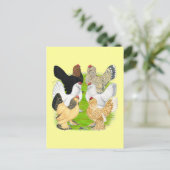 D'Uccles 6 Hens Postkarte (Stehend Vorderseite)