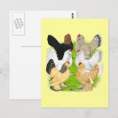D'Uccles 6 Hens Postkarte (Vorne/Hinten)