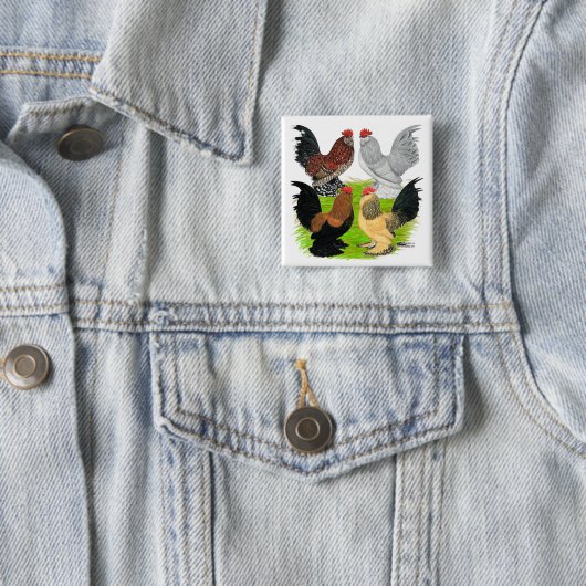 D'Uccles Four Roosters Button (Beispiel)