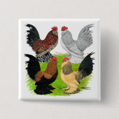 D'Uccles Four Roosters Button (Vorderseite)