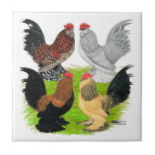 D'Uccles vier Hähne Fliese (Vorderseite)