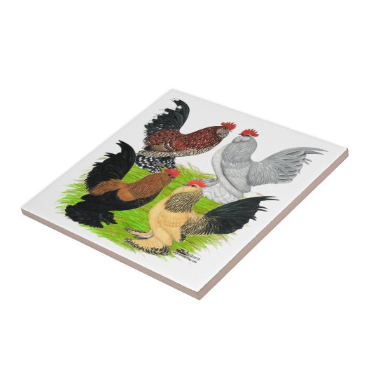 D'Uccles vier Hähne Fliese (Seite)