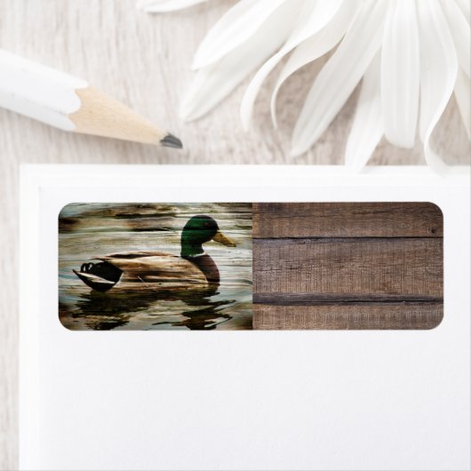 Duck (Insitu)