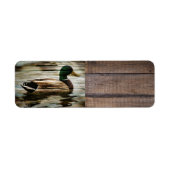 Duck (Vorne)