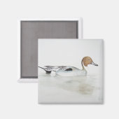 Duck 2011 magnet (Vorderseite/Rückseite)