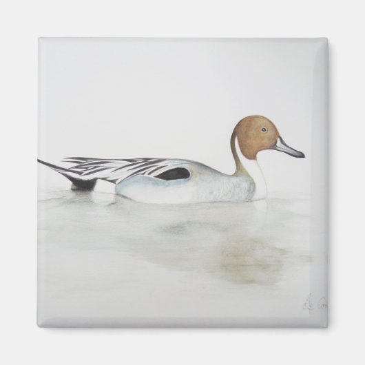 Duck 2011 magnet (Vorne)