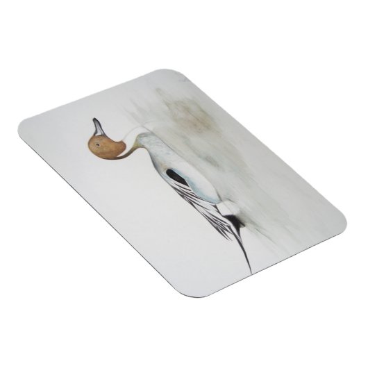 Duck 2011 magnet (Rechte Seite)