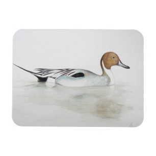 Duck 2011 magnet