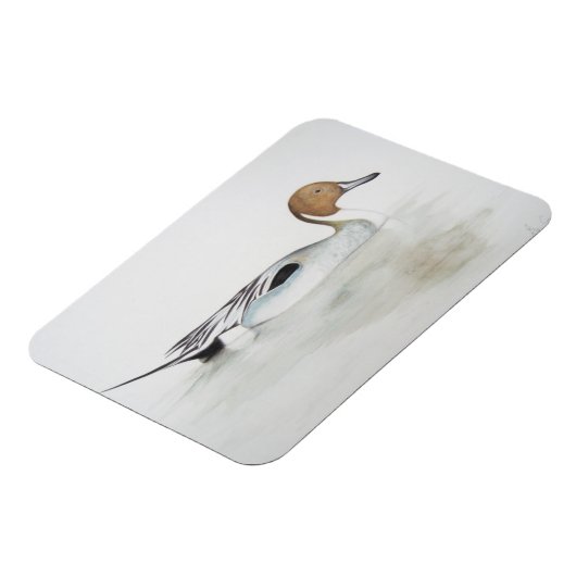 Duck 2011 magnet (Linke Seite)