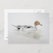 Duck 2011 postkarte (Vorne/Hinten)