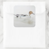 Duck 2011 quadratischer aufkleber (Tasche)