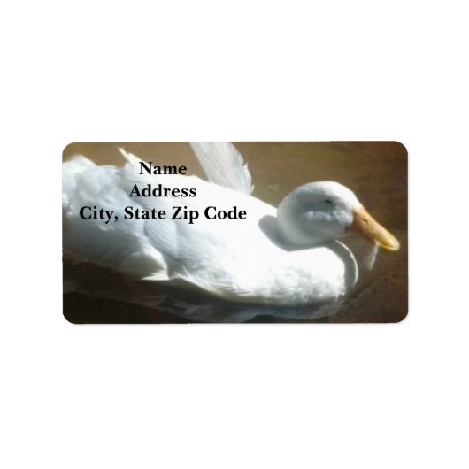 Duck Address Labels Adressaufkleber (Vorne)